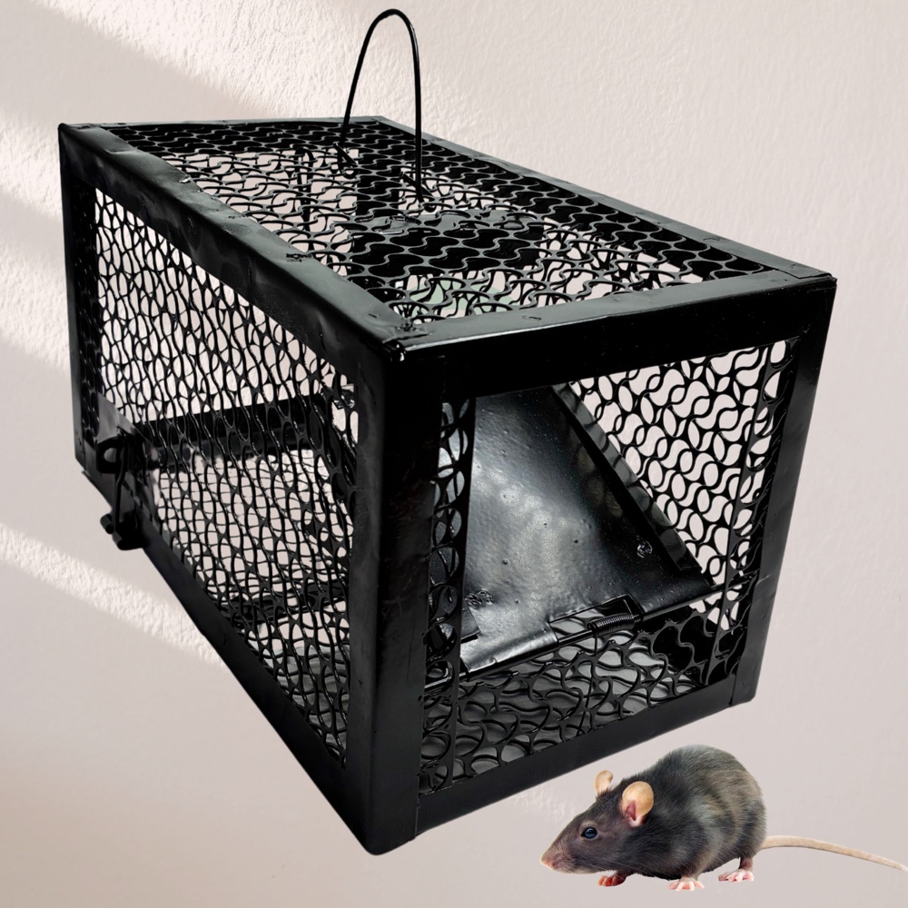 Rat Traps