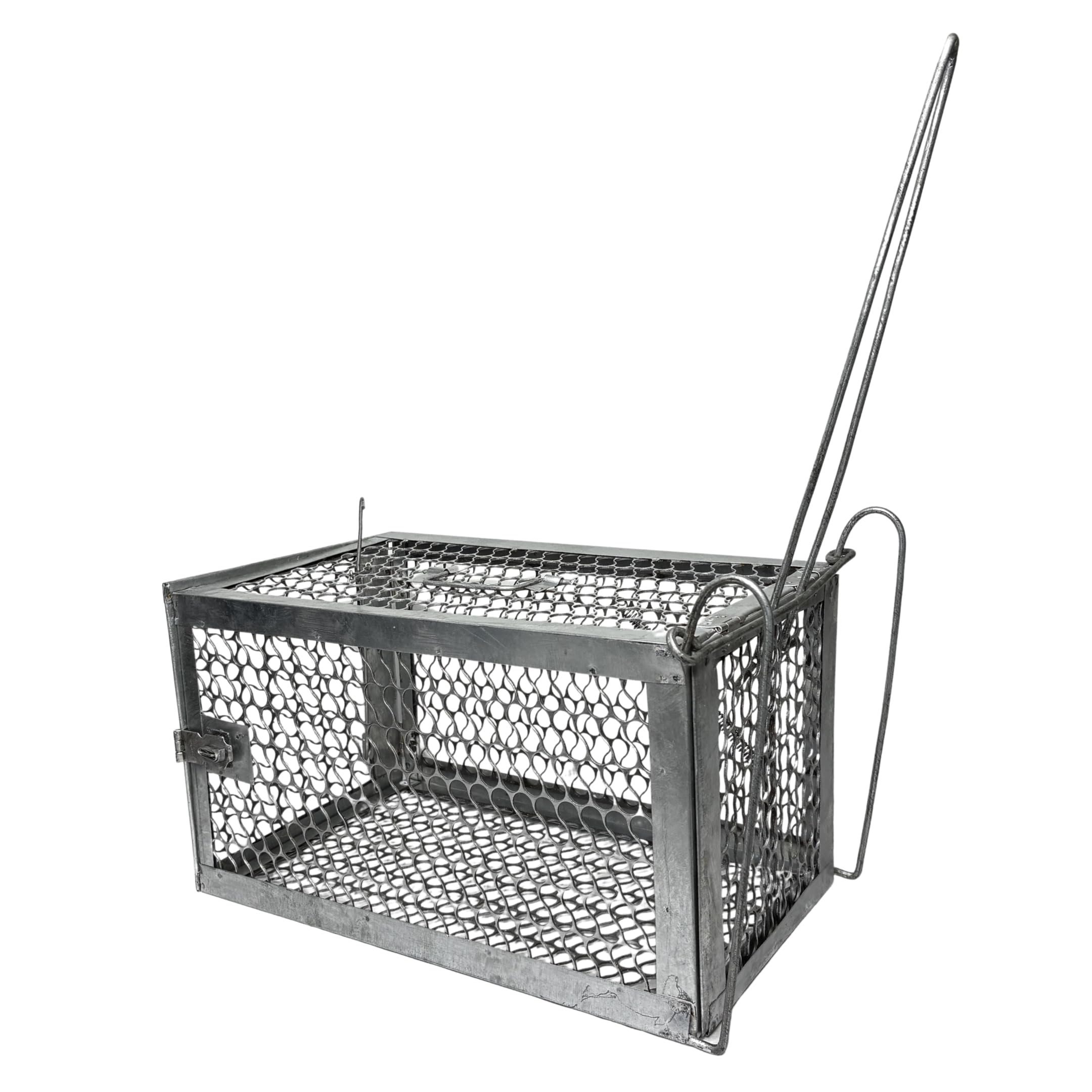 Bandicoot Trap Cage - Ghoos Pinjara (Large)